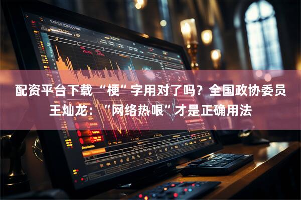 配资平台下载 “梗”字用对了吗？全国政协委员王灿龙：“网络热哏”才是正确用法